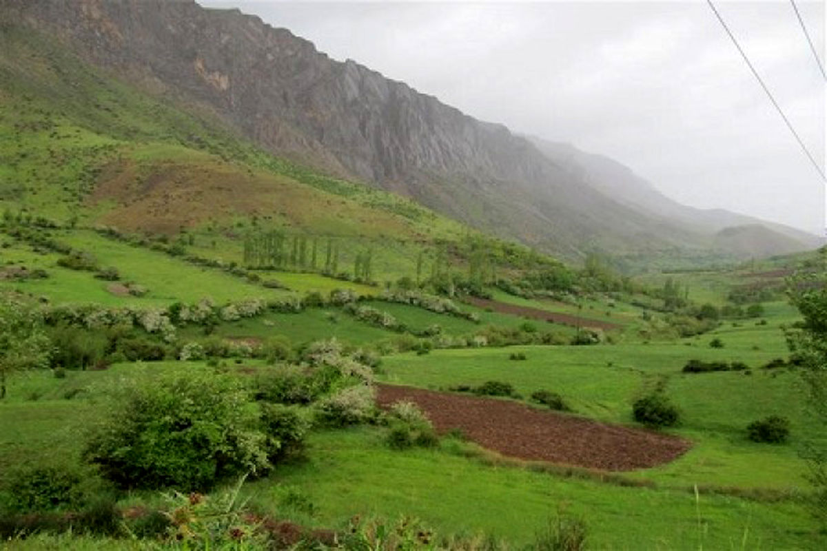 قرق مراتع لرستان