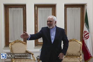 ظریف با همتای مالزی خود دیدار کرد