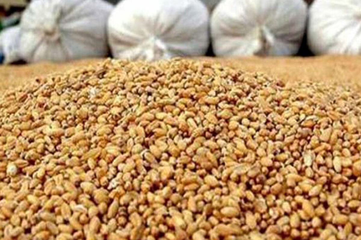 احتکار نهاده دامی