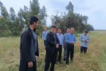 تأکید بر حمایت از بخش کشاورزی در راستای اقتصاد مقاومتی