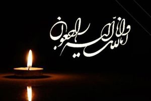 وزیر فرهنگ و ارشاد اسلامی درگذشت پدر مسعود شجاعی طباطبایی را تسلیت گفت