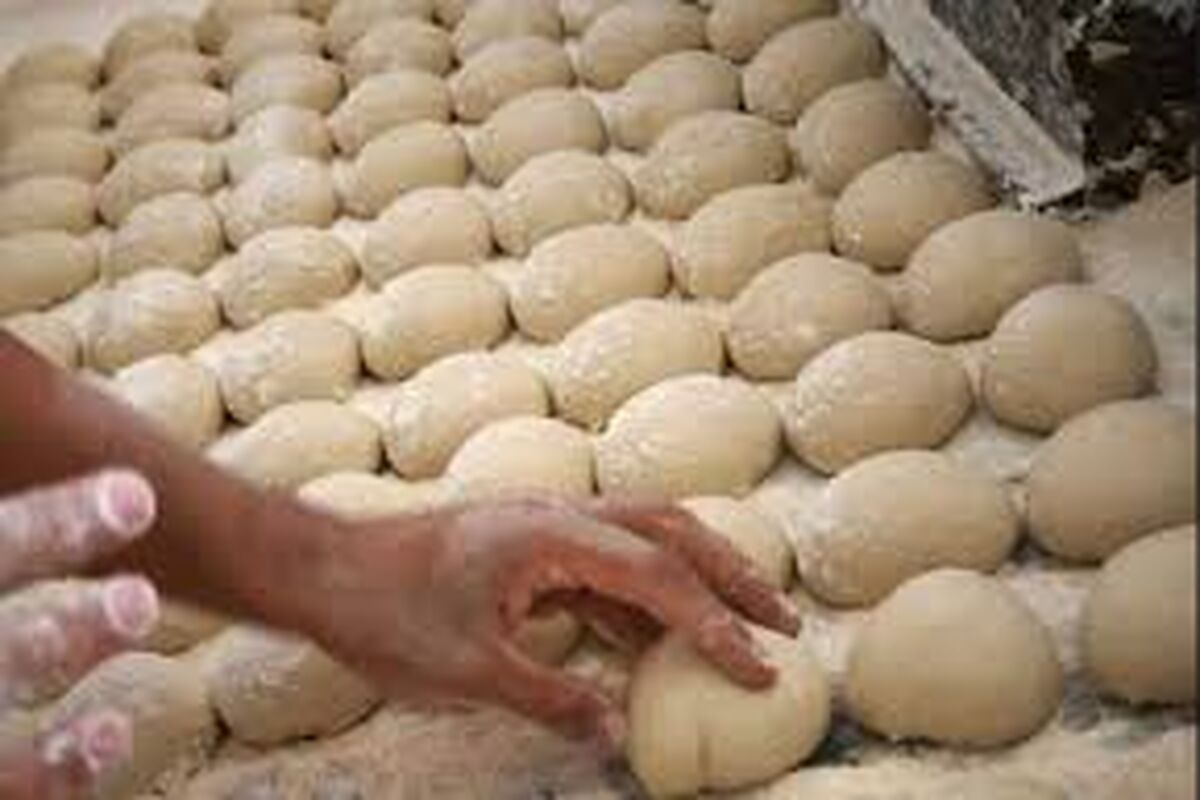 نانوایی غیر مجاز