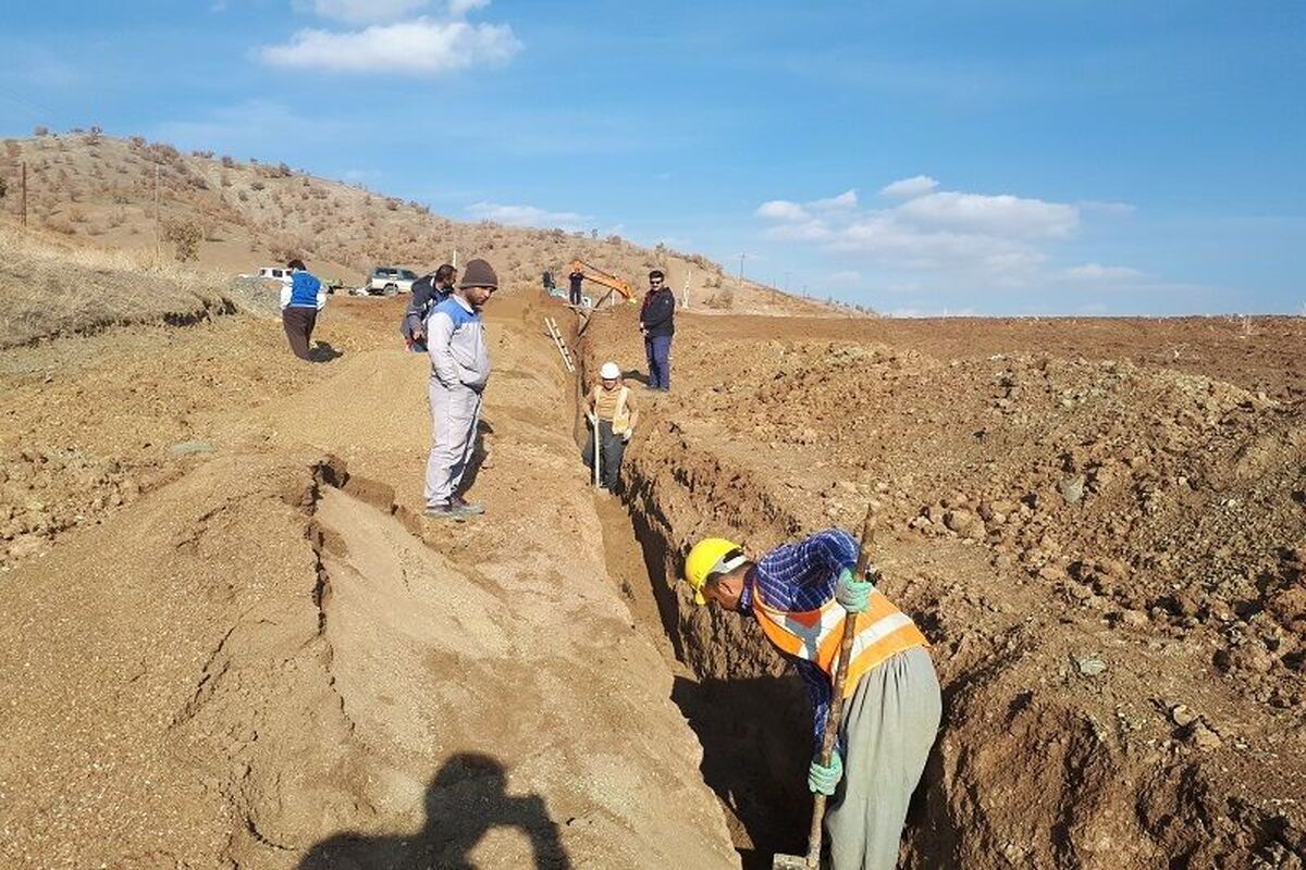 شرکت گاز