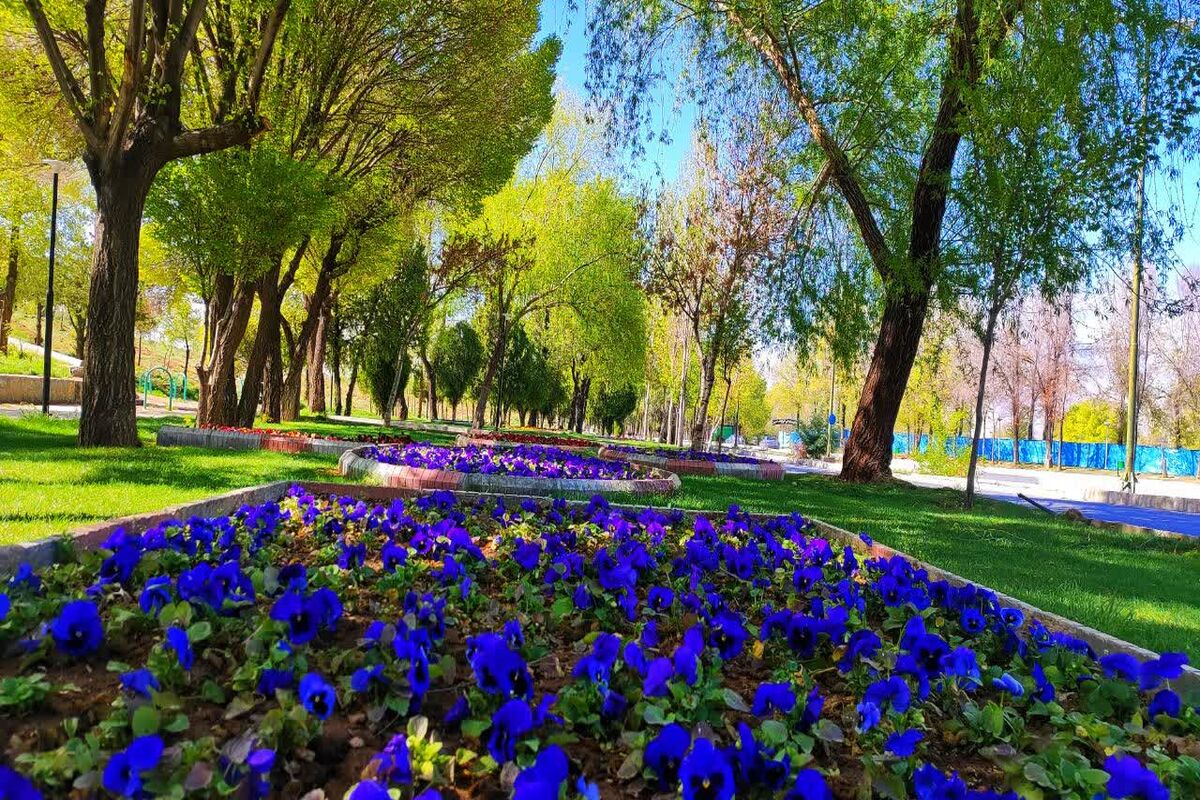 فضای سبز