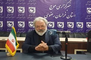 خدمت رسانی ۳۰ هزار نیروی خدمتگزار به زائران پیاده رضوی