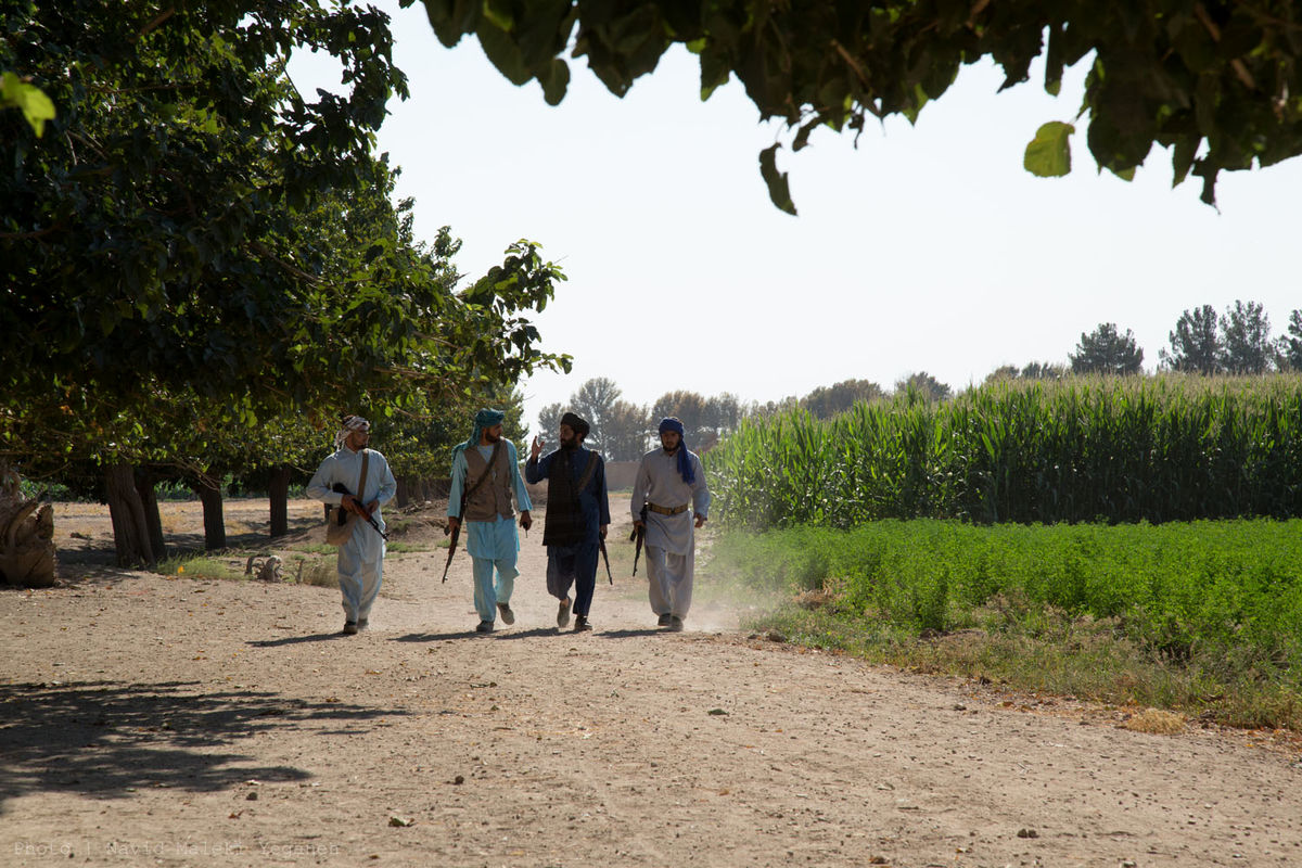 فیلم سینمایی گل نساء