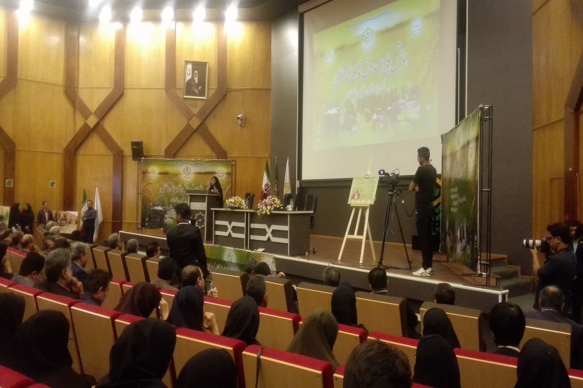 معصومه ابتکار