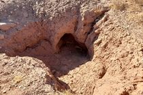 دستگیری حفار غیرمجاز آثار تاریخی در شهرستان کوثر 