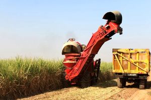 اولین نشست تخصصی کشت چغندر پاییزه در کشت و صنعت مغان برگزار شد