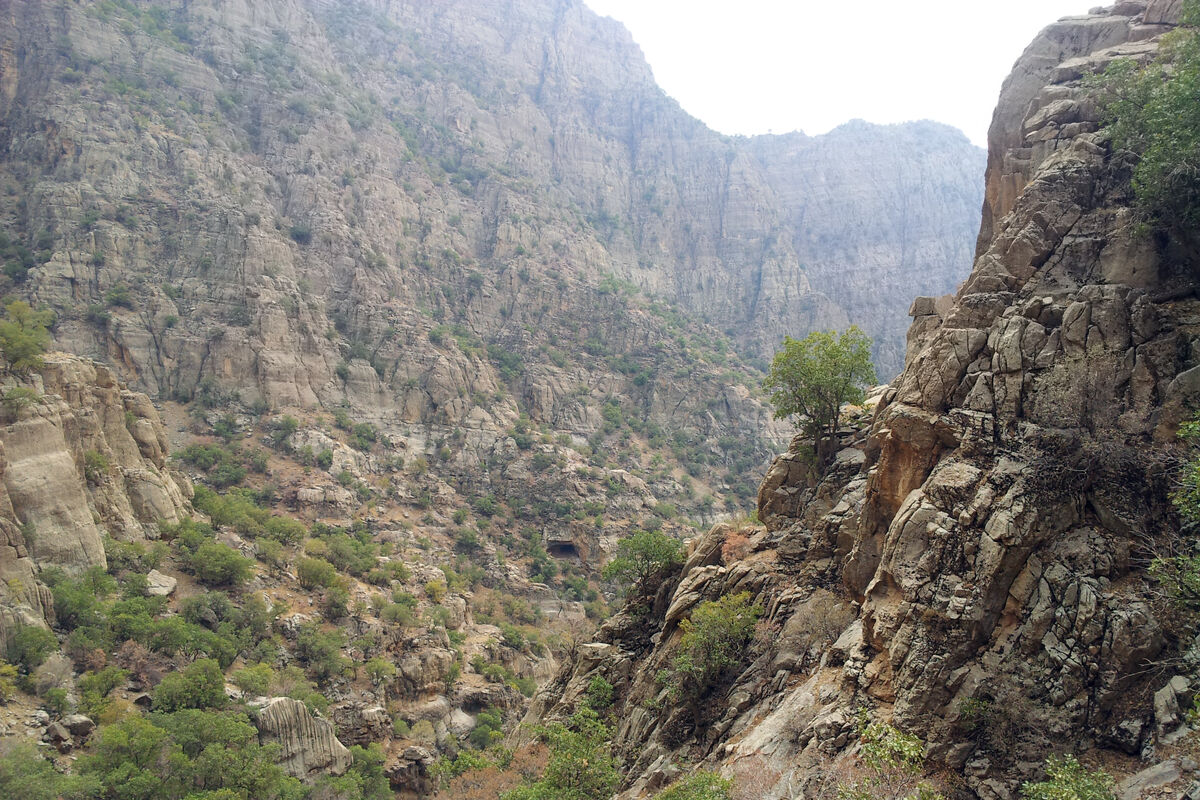 سفید کوه