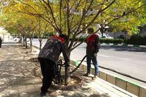 هدف گذاری اقدامات گسترده در مناطق کلانشهر مشهد