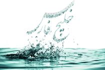 برگزاری جشنواره بین المللی خلیج فارس در بندرعباس