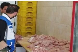معدوم سازی بیش از ۱۵۰ کیلو قطعات مرغ غیربهداشتی در خمینی شهر