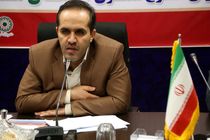 حیوانات از سطح شهر با تماس شهروندان قمی با سامانه ۱۳۷ جمع آوری می شوند