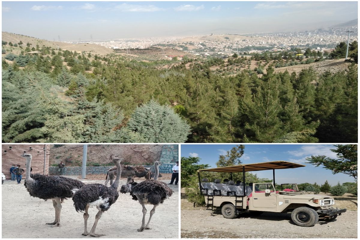 سافاری پارک