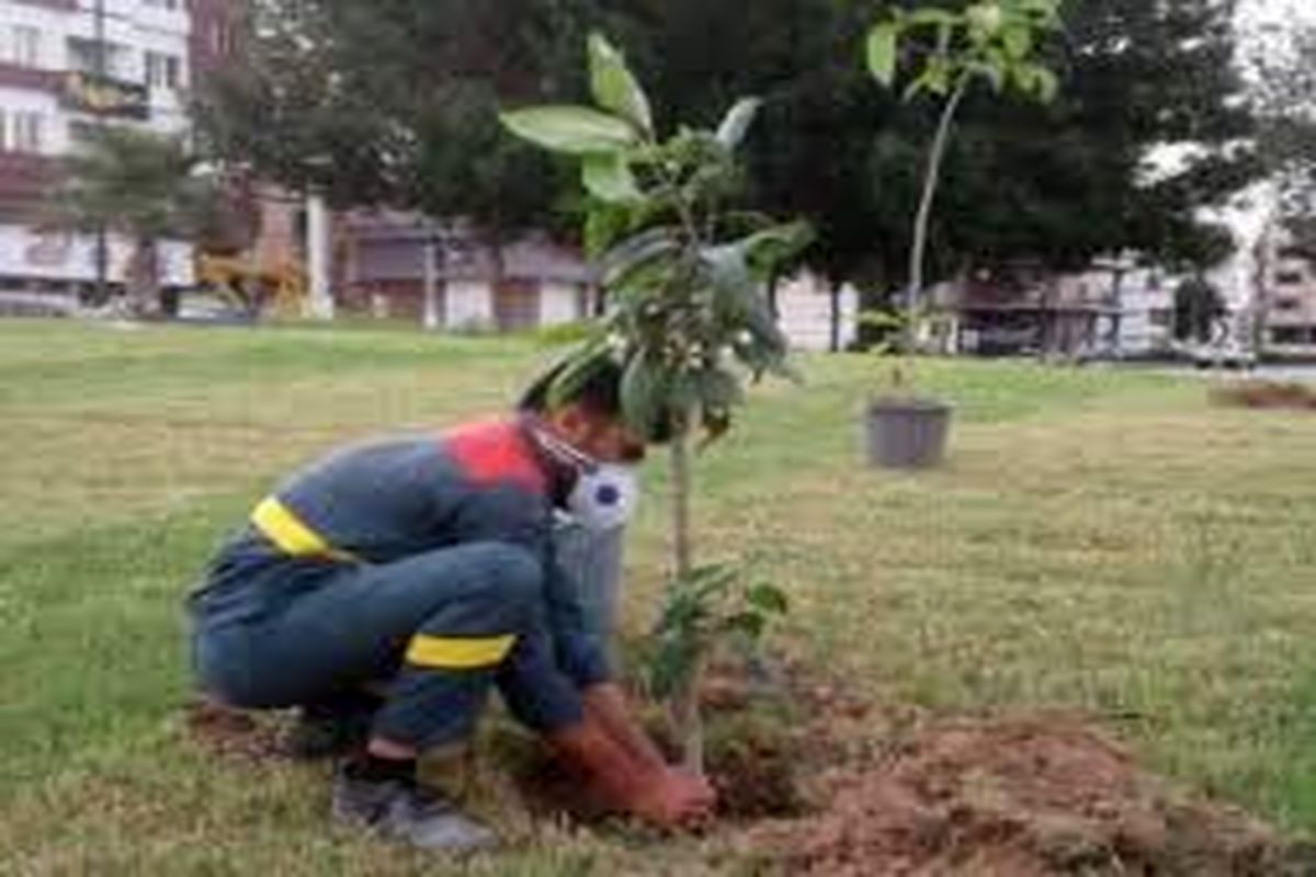 کارگران شهرداری