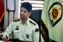 کشف سلاح های جنگی و شکاری در اجرای طرح امنیت اجتماعی در دزفول