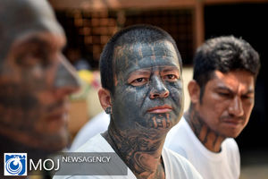 پاک کردن خالکوبی بدن تبهکاران جهان