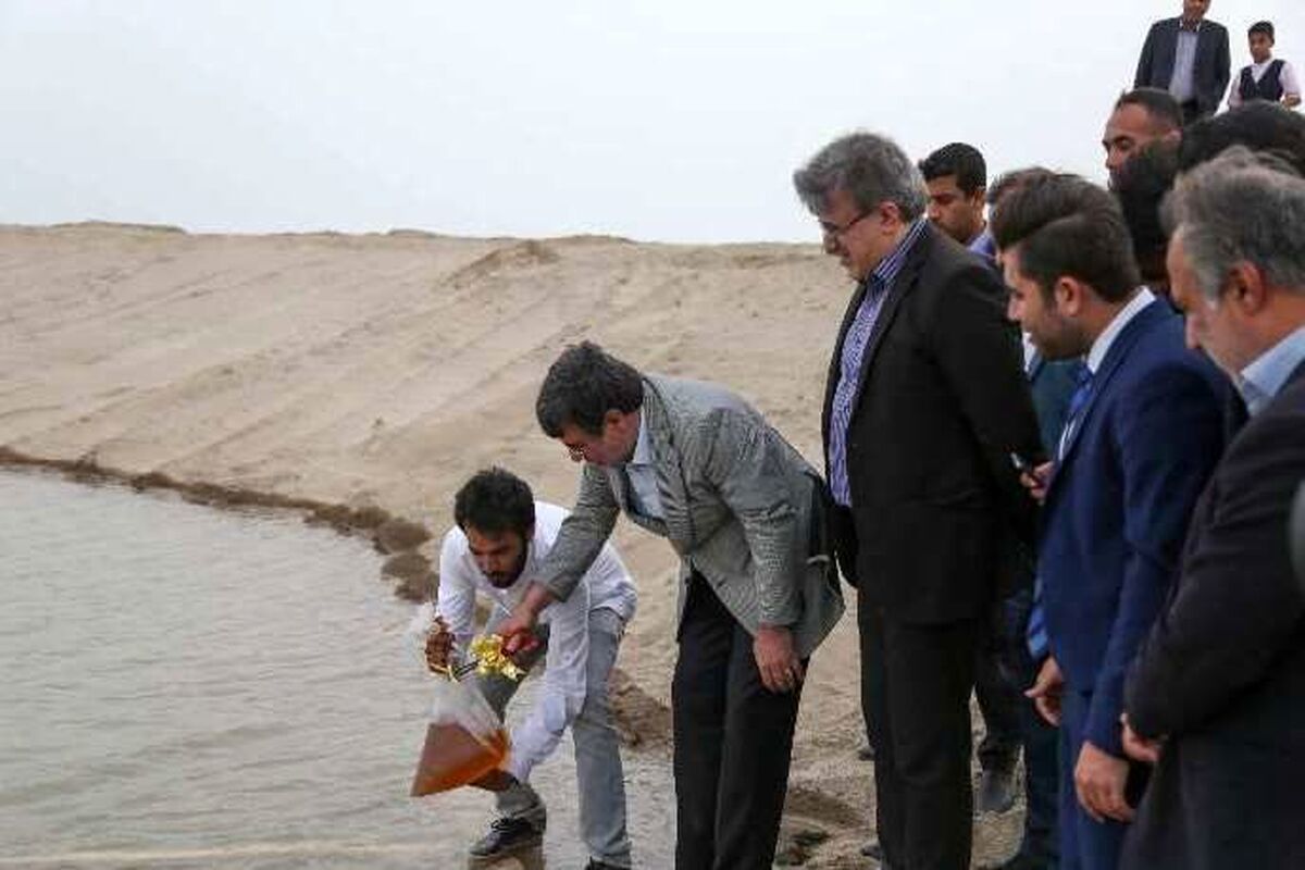 سایت میگو