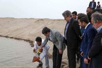بهره برداری از سایت پرورش میگو در بندرعباس
