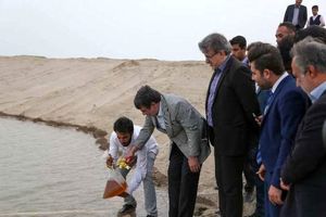 بهره برداری از سایت پرورش میگو در بندرعباس