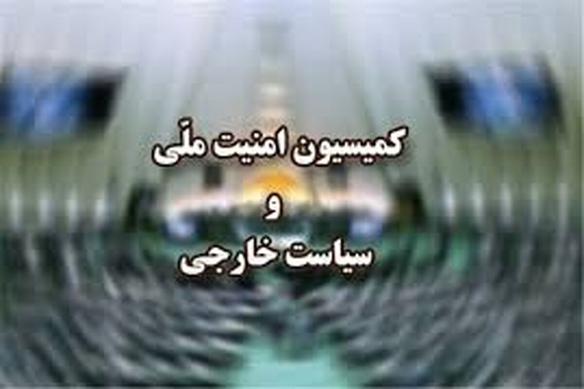 کمیسیون امنیت ملی و سیاست خارجی
