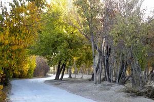 اجرای طرح اصلاح شبکه آبرسانی و توسعه آبیاری تحت فشار در مجموعه ناژوان اصفهان