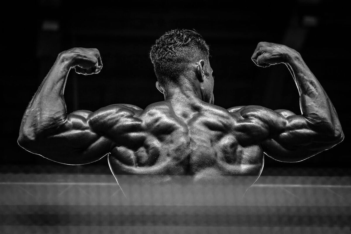 پرورش اندام