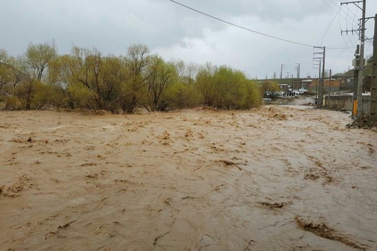سیل