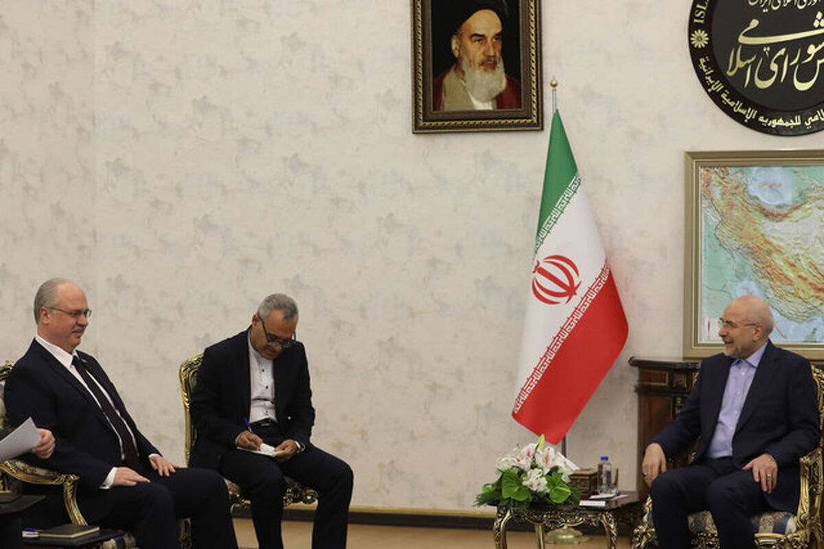 رئیس مجلس در دیدار سفیر بلاروس در تهران