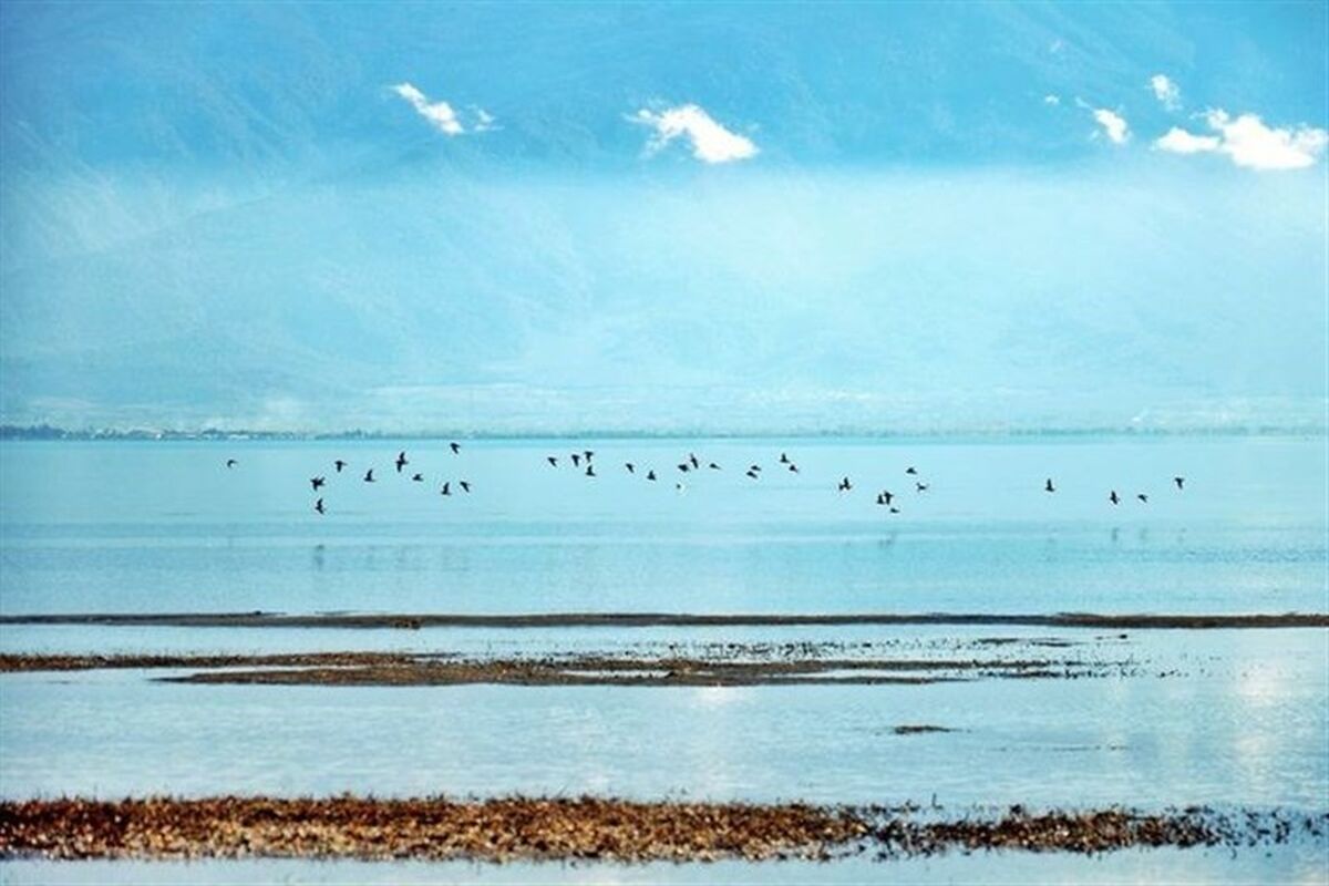 محیط زیست گلستان