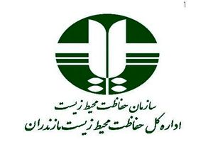 کشف و ضبط لاشه 9 رأس خوک وحشی در آمل