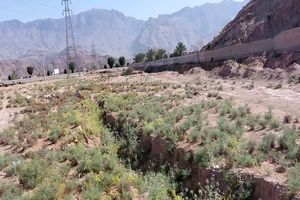 مدیرکل مدیریت بحران از نشست منازل و حفره های ایجاد شده در سطح معابر شهر لالی بازدید کرد