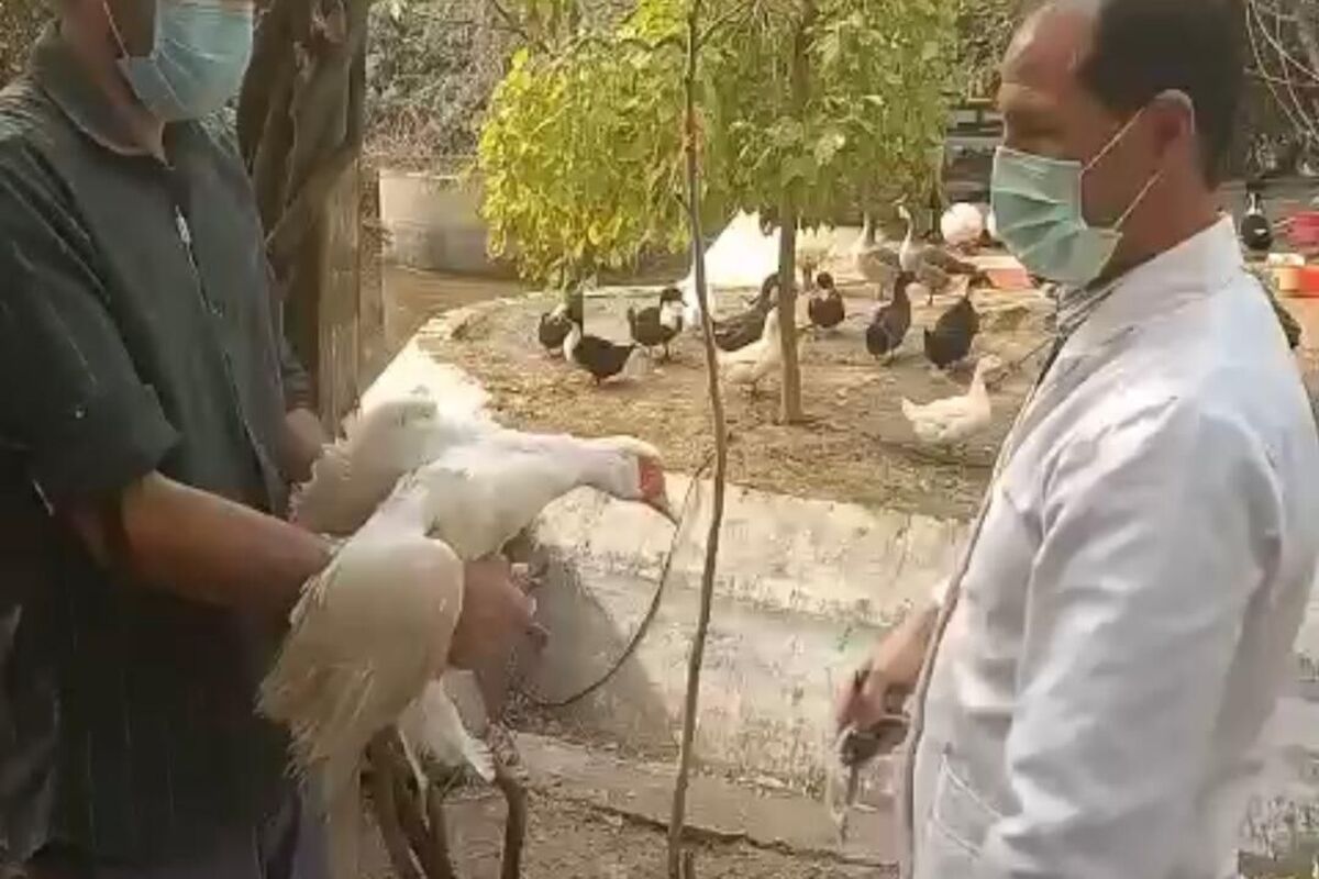 دامپزشکی استان مرکزی