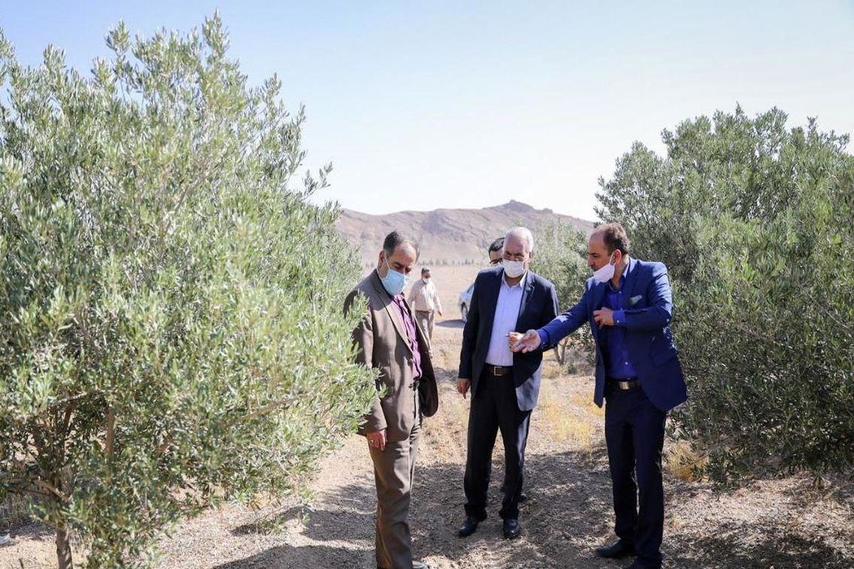 پارک شرق اضفهان