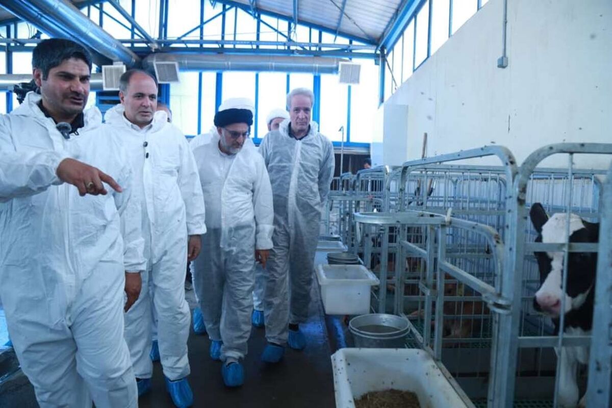 وزیر جهاد کشاورزی