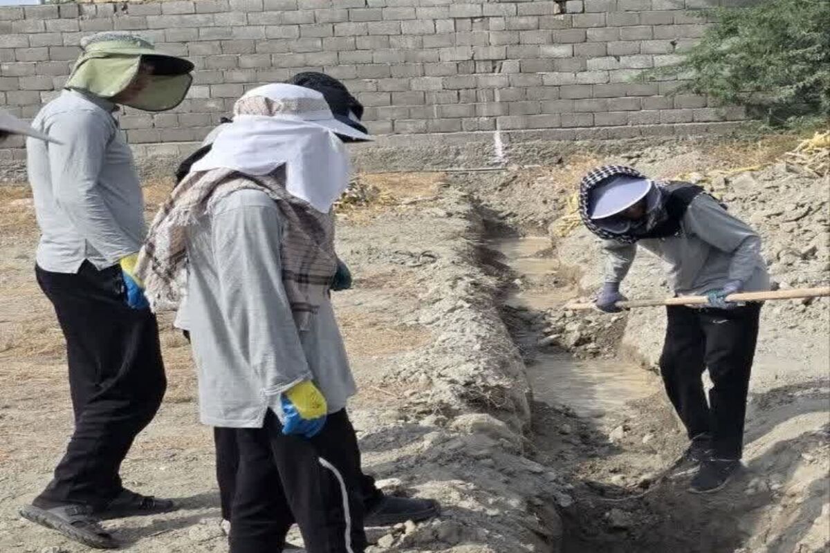 بسیج دانشجویی فارس 