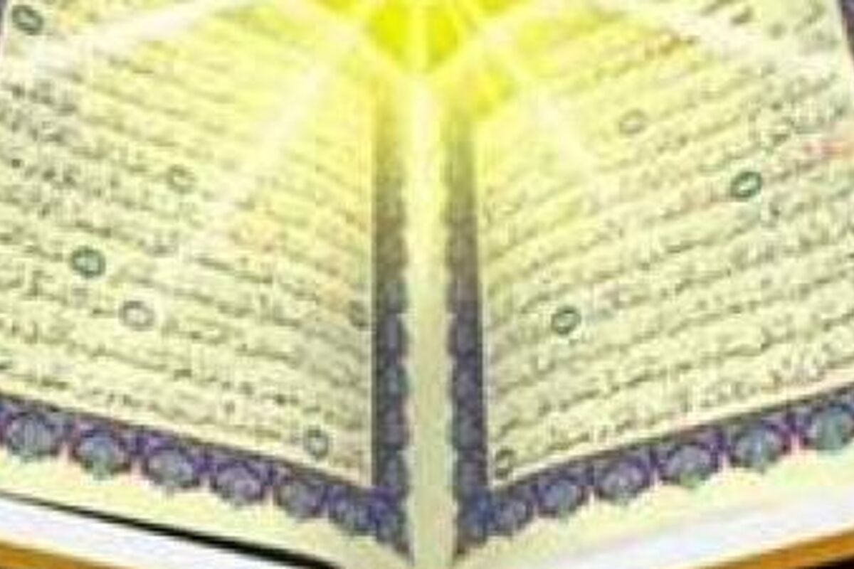 T9yELcsHZ7n8