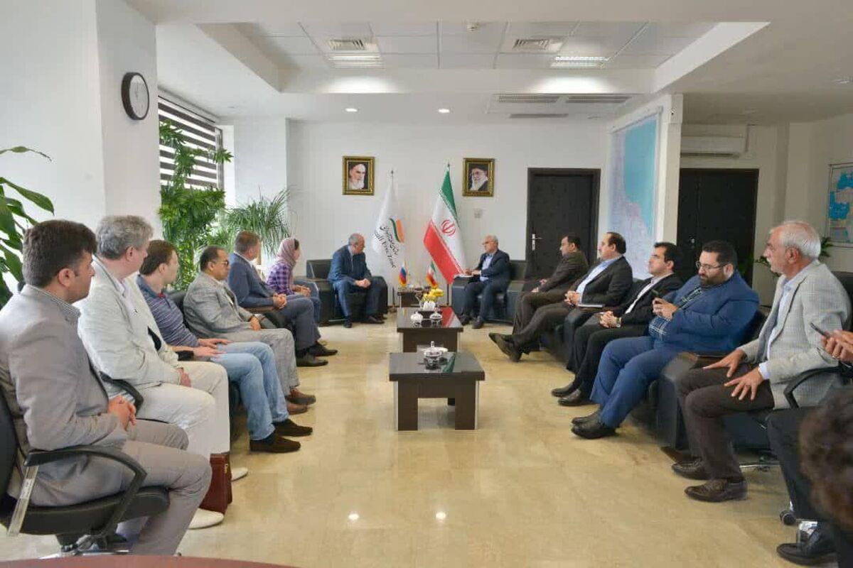 سازمان منطقه آزاد انزلی