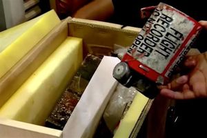 بازیابی اطلاعات جعبه‌ های سیاه هواپیمای اوکراینی