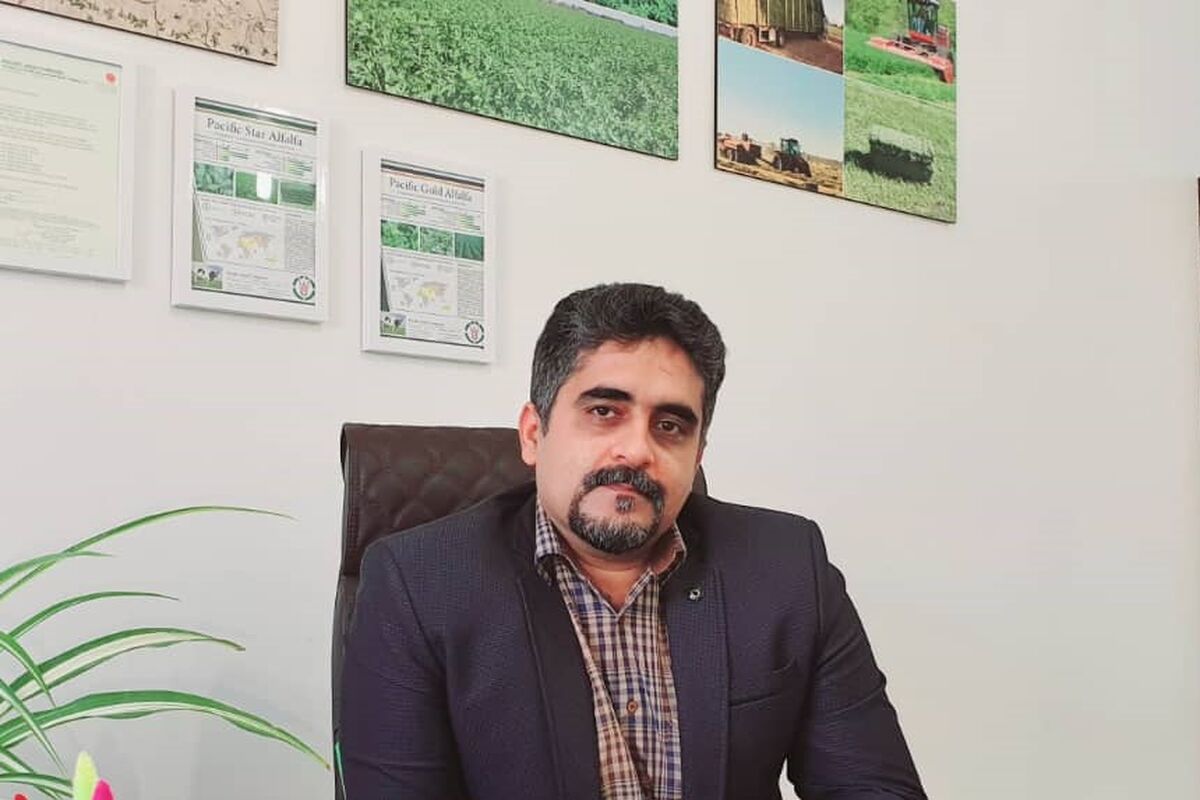 حاتم زاده