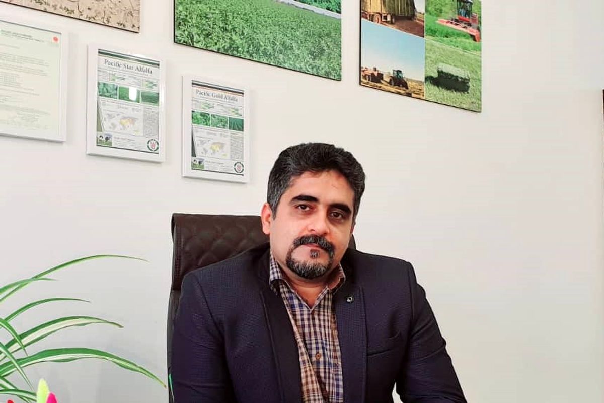 حاتم زاده