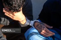 دستگیری باند سارقان حرفه‌ای در ایلام