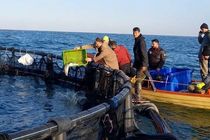 سالانه 3 هزار تن انواع آبزیان دریایی در مازندران تولید می شود