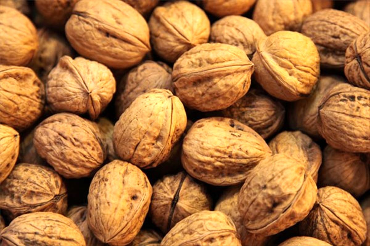 اصفهان- گردوی قاچاق