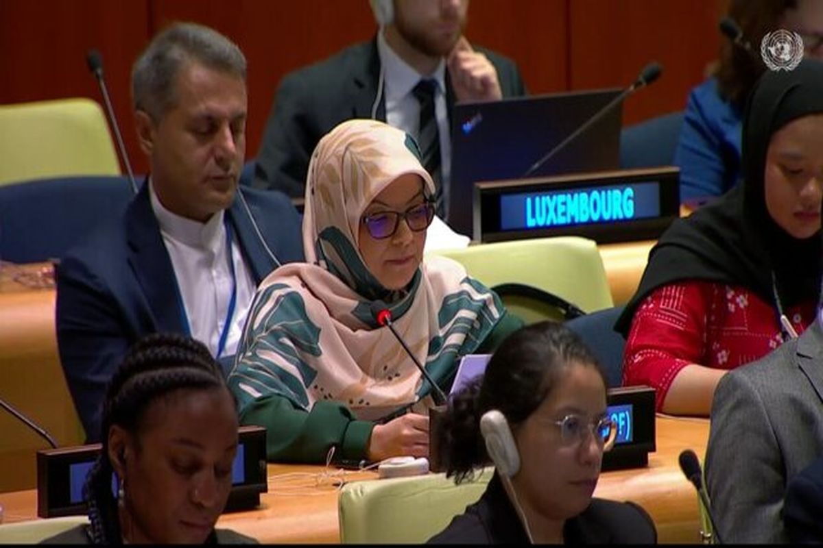 سفیر ایران در سازمان ملل