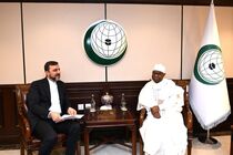سازمان همکاری اسلامی بر حمایت از ایران تأکید کرد
