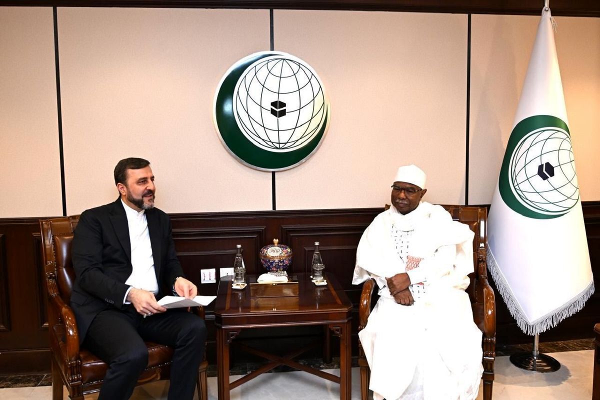 ، معاون حقوقی و بین‌المللی وزارت امور خارجه 