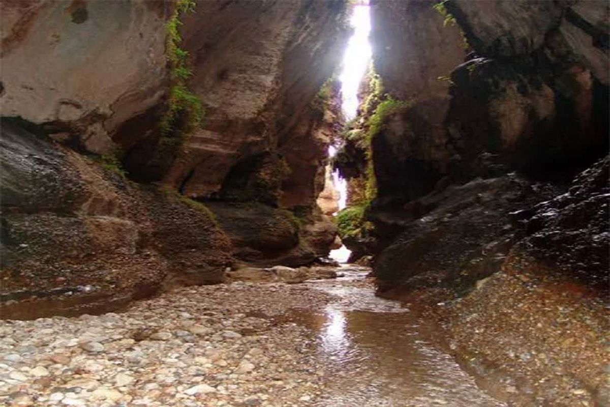 زینگان