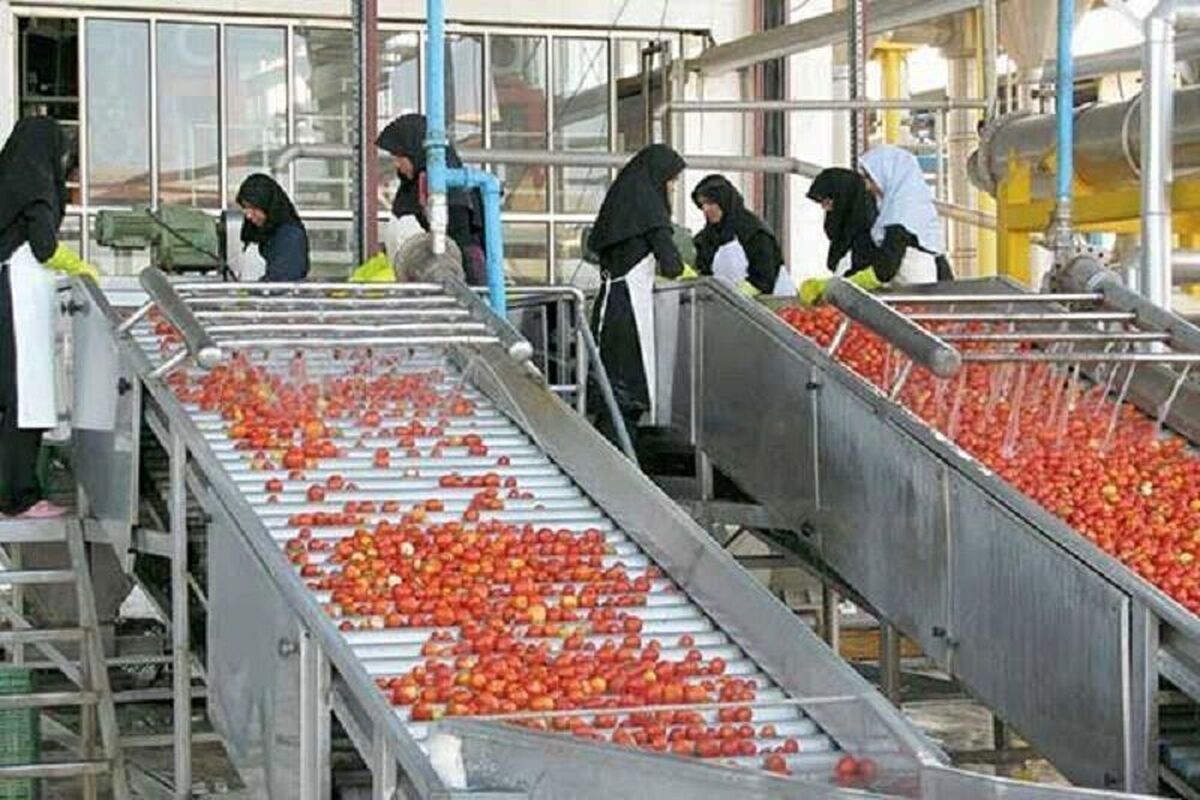  سازمان جهاد کشاورزی استان مرکزی